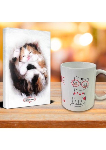 Uykucu Kedi Ajanda Sevimli Kedi Kupa Seti