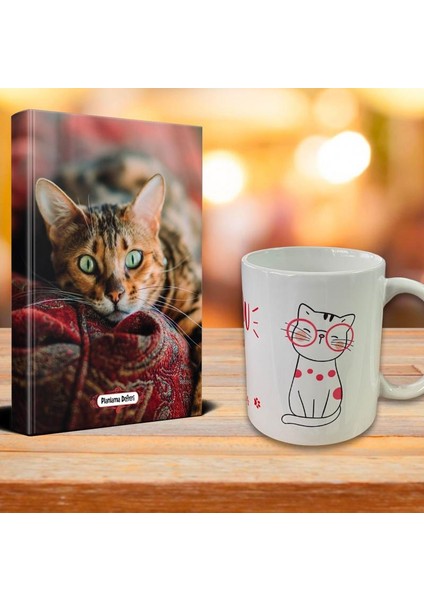 Saskin Kedi Ajanda Sevimli Kedi Kupa Seti