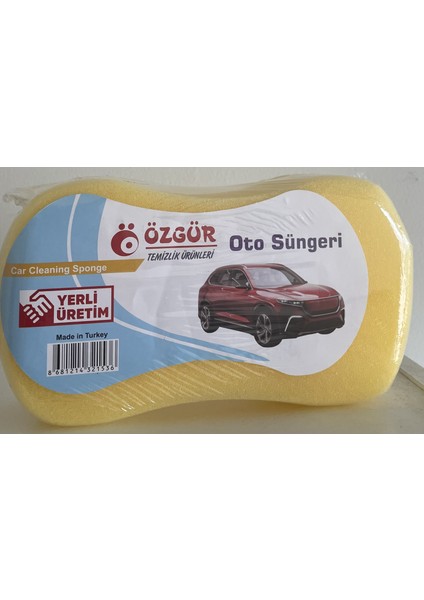 Oto Süngeri