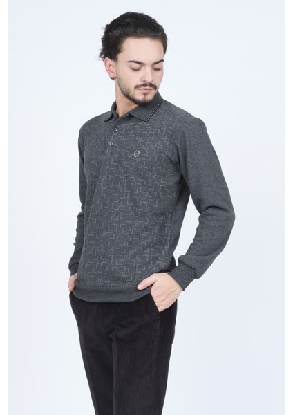 Erkek Desenli Polo Yaka Triko Sweat 6741256 Gri