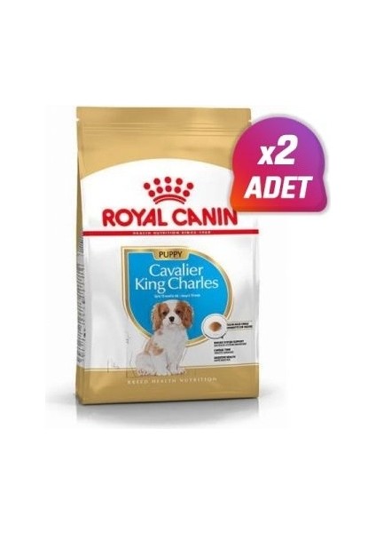 2 Adet Cavalier King Charles Junior Yavru Köpek Maması 1,5 kg