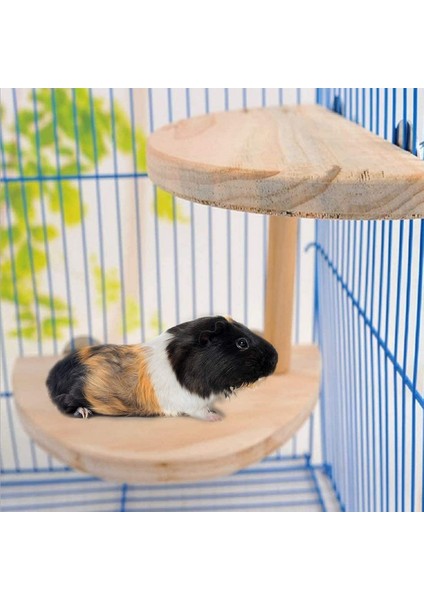 Sincap Gerbil Cüce Ahşap Platform, 2 Seviyeli Doğal Hamster Ayakta Platform