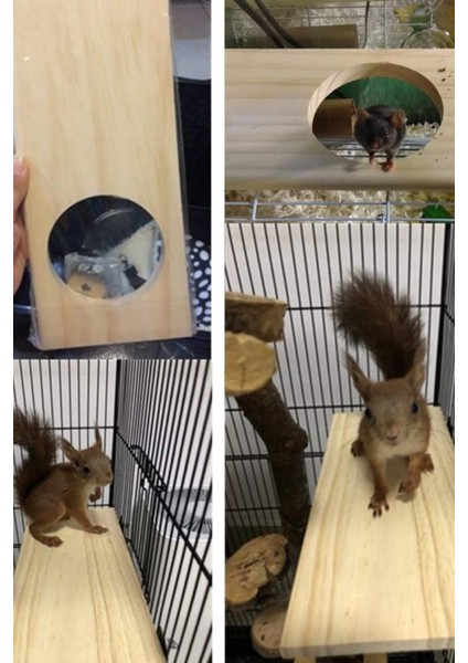 Ahşap Stand Platformu Papağan Muhabbet Kuşu Papağan Papağanı Conure Hamster Fare Chinchilla indirimleri