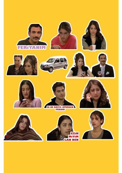 Adını Feriha Koydum 12'li Laptop Notebook Tablet Sticker Seti