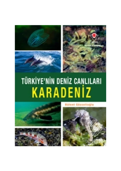 Karadeniz Türkiye'nin Deniz Canlıları