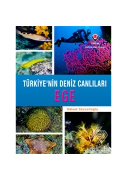 Ege Türkiye'nin Deniz Canlıları