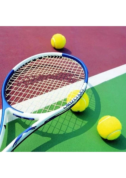 3 Adet Sarı Tenis Topu Antrenman Tenis Topu