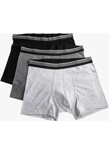 3'lü Basic Boxer Seti