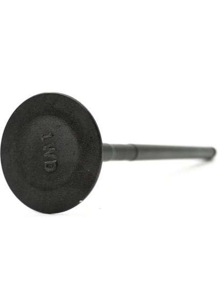 R25 Emme Subap 1WDE21110000 (2014-2022)