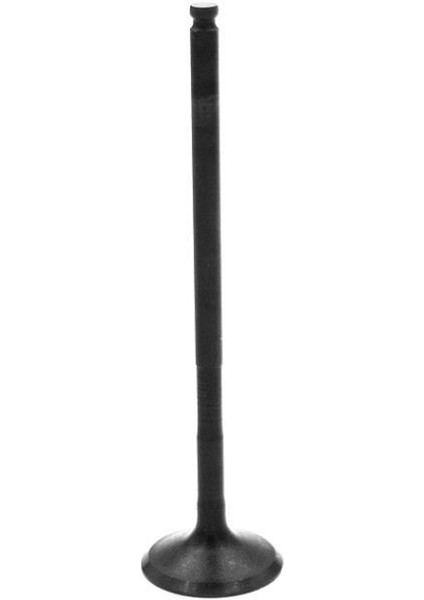 R25 Emme Subap 1WDE21110000 (2014-2022)