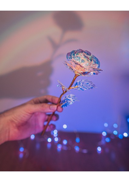 Sonsuzluk Gülü + Stand Sevgililer Gülü En Özel Çiçeği Gökkuşağı Sonsuzluk Gülü Yapay Çiçek fiyatları