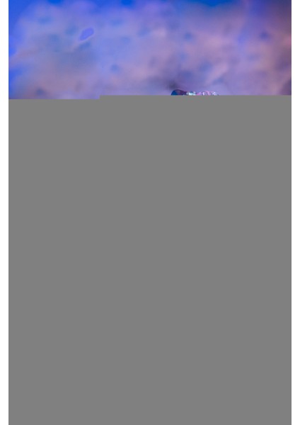 Sonsuzluk Gülü + Stand Sevgililer Gülü En Özel Çiçeği Gökkuşağı Sonsuzluk Gülü Yapay Çiçek modelleri