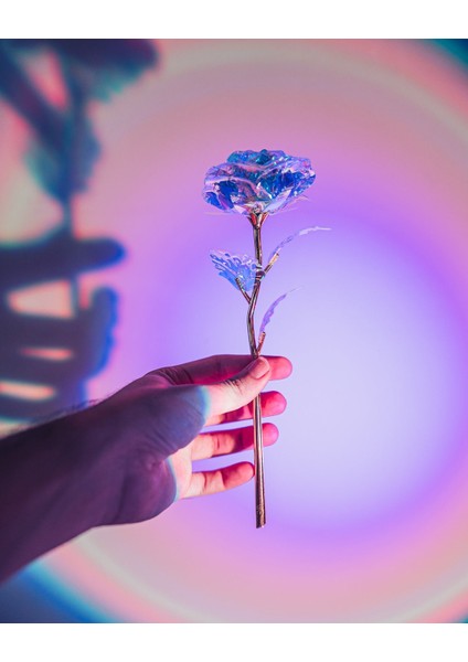 Sonsuzluk Gülü + Stand Sevgililer Gülü En Özel Çiçeği Gökkuşağı Sonsuzluk Gülü Yapay Çiçek fırsatları