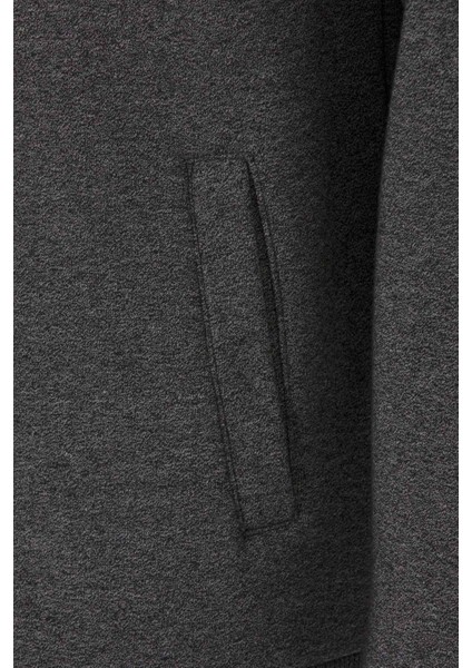 CL535 Kapşonlu Kışlık Erkek Sweatshirt fiyatları