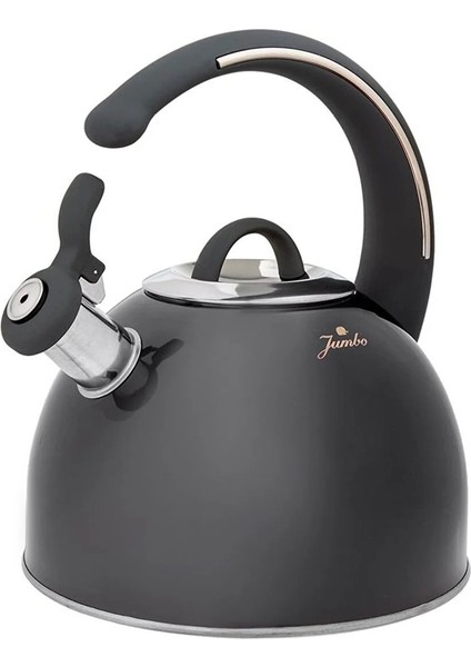 Grey Düdüklü Kettle 3 Lt