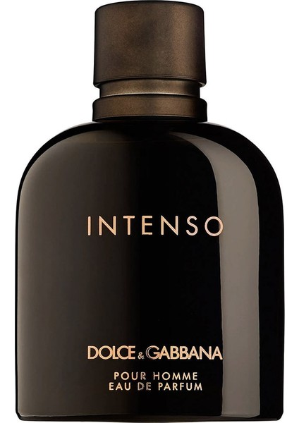 Pour Homme Intenso Edp 125ML