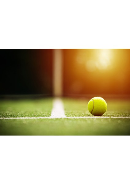 1 Adet Sarı Tenis Topu Antrenman Tenis Topu