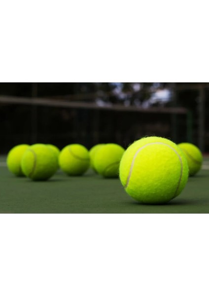 2 Adet Sarı Tenis Topu Antrenman Tenis Topu