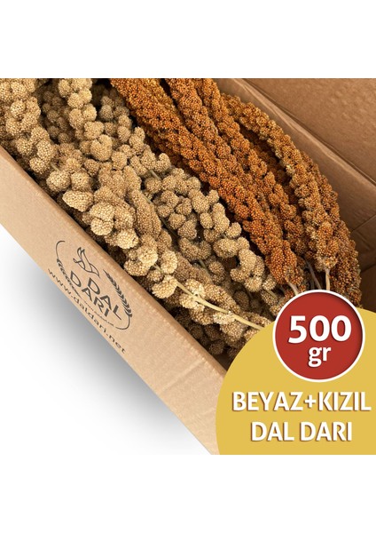 Beyaz ve Kızıl Daldarı Mix Muhabbet Kuşu ve Papağan Yemi 500 gr