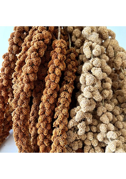 Beyaz ve Kızıl Daldarı Mix Muhabbet Kuşu ve Papağan Yemi 500 gr fırsatları