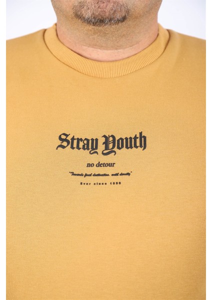 Sweatshirt Bisiklet Yaka Stray South 22730 Vizon modelleri