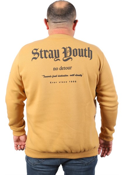 Sweatshirt Bisiklet Yaka Stray South 22730 Vizon indirimleri