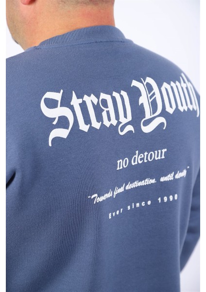 Sweatshirt Bisiklet Yaka Stray South 22730 Mavi fiyatları