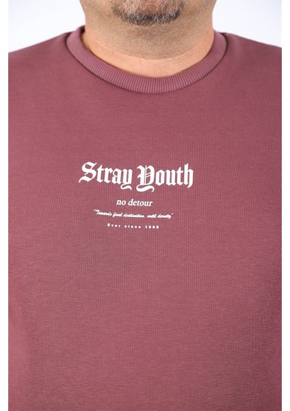 Sweatshirt Bisiklet Yaka Stray South 22730 Lila fırsatları