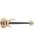 BTB1305ENTF Bas Gitar Kutulu 5 Telli :ıbanez Kore 1