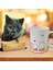 Dedektif Kedi Ajanda Sevimli Patiler Kupa Seti 1