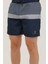 2m CT1148 Earl Stripe Short 2fx 1