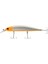 Surfer 110S 20GR 11CM Maket Balık 4