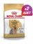 2 Adet Yorkshire Terrier Adult Yetişkin Köpek Maması 1,5 kg 1