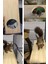 Ahşap Stand Platformu Papağan Muhabbet Kuşu Papağan Papağanı Conure Hamster Fare Chinchilla 5