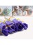 Kurabiye Cımbızı Plastik 10 Lu Set 1