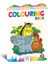 Colourıng Book Boyama Kitabı Seti (Ciltli) 2