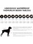 Aqua Black Içi Polarlı Su Geçirmez Köpek Yağmurluğu 4