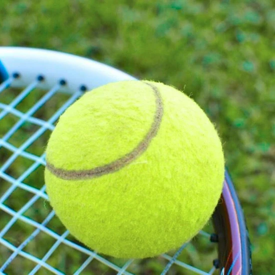 Leyaton 1 Adet Sarı Tenis Topu Antrenman Tenis Topu