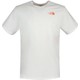 The North Face Biner Graphic 4 Tee Erkek T-Shirt - NF0A7R4LFN4
