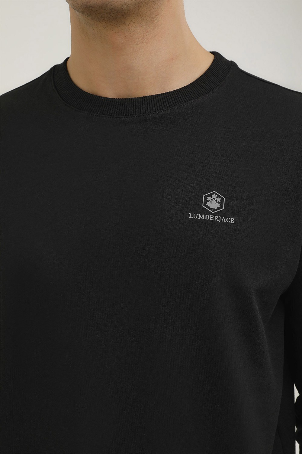 Lumberjack M-SN75 Basıc C Neck Sweat Siyah Erkek Sweatshirt görsel 4