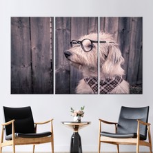Kayra Export 3 Parçalı Kanvas Tablo Güzel Hayvan Duvar Süsü Köpek Sevgilisi Hediyesi Sanat Doggy Sanat Eseri