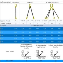 Zintaş Master Chain Grade 80 Tek Kollu A Kanca Zincir Sapan