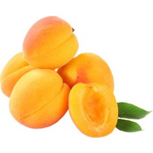 Sebze Meyve Dünyası Kayısı Alyanak 1 kg
