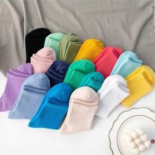 Worthy Socks 12'li Unisex Çok Renkli Çizgisiz Pamuklu Tenis Kolej Çorap Seti