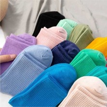 Worthy Socks 12'li Unisex Çok Renkli Çizgisiz Pamuklu Tenis Kolej Çorap Seti