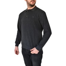 Naykı Erkek Büyük Beden Polo Yaka Sweatshirt 2260-BTL BGL-ST02353