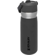 Stanley The Iceflow Pipetli Paslanmaz Çelik Soğuk Su Termosu 0.65 Lt