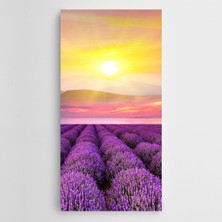 Dekolata Lavantalar ve Güneş Kanvas Tablo
