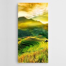 Dekolata Gün Işığı Tarlalar Kanvas Tablo