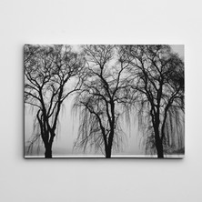 Dekolata Ağaçlar Kanvas Tablo